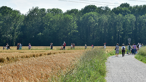 08.06.2018: Schöpfungswanderung für Familien in der Gänsschütt mit Pfarrer Toni Schatz.